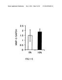 AGENT FOR ACTIVATING SIRTUIN GENE CONTAINING EGG SHELL MEMBRANE INGREDIENT     AND COMPOSITION USING THE SAME diagram and image