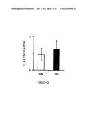 AGENT FOR ACTIVATING SIRTUIN GENE CONTAINING EGG SHELL MEMBRANE INGREDIENT     AND COMPOSITION USING THE SAME diagram and image