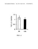 AGENT FOR ACTIVATING SIRTUIN GENE CONTAINING EGG SHELL MEMBRANE INGREDIENT     AND COMPOSITION USING THE SAME diagram and image