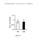 AGENT FOR ACTIVATING SIRTUIN GENE CONTAINING EGG SHELL MEMBRANE INGREDIENT     AND COMPOSITION USING THE SAME diagram and image