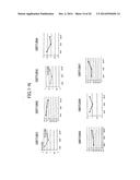 AGENT FOR ACTIVATING SIRTUIN GENE CONTAINING EGG SHELL MEMBRANE INGREDIENT     AND COMPOSITION USING THE SAME diagram and image