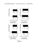 AGENT FOR ACTIVATING SIRTUIN GENE CONTAINING EGG SHELL MEMBRANE INGREDIENT     AND COMPOSITION USING THE SAME diagram and image