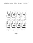 AGENT FOR ACTIVATING SIRTUIN GENE CONTAINING EGG SHELL MEMBRANE INGREDIENT     AND COMPOSITION USING THE SAME diagram and image