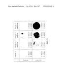 CAFFEIC ACID FOR BROWNING FOOD SURFACES diagram and image