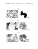 THIOETHER-BRIDGED ORGANIC/INORGANIC COMPOSITE AND METHOD FOR PREPARING     HOLLOW OR POROUS CARBON STRUCTURES AND SILICA STRUCTURES USING THE SAME diagram and image