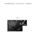 CATHODE ACTIVE MATERIAL WITH WHOLE PARTICLE CONCENTRATION GRADIENT FOR     LITHIUM SECONDARY BATTERY, METHOD FOR PREPARING THE SAME, AND LITHIUM     SECONDARY BATTERY HAVING THE SAME diagram and image