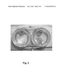 Metal Accumulation Inhibiting And Performance Enhancing Supplement And A     System For Delivering The Supplement diagram and image