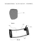 APPARATUS FOR OXYGENATION AND PERFUSION OF TISSUE FOR ORGAN PRESERVATION diagram and image