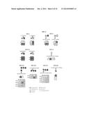 METHODS OF DIAGNOSING A DISEASE AND METHODS OF MONITORING TREATMENT OF A     DISEASE BY QUANTIFYING A NON-REDUCING END GLYCAN RESIDUAL COMPOUND AND     COMPARING TO A SECOND BIOMARKER diagram and image