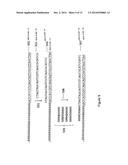 Methods and Compositions for Efficient Base Calling in Sequencing     Reactions diagram and image