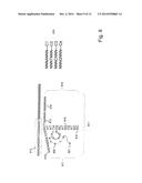 Methods and Compositions for Efficient Base Calling in Sequencing     Reactions diagram and image