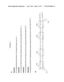 Methods and Compositions for Efficient Base Calling in Sequencing     Reactions diagram and image