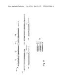 Methods and Compositions for Efficient Base Calling in Sequencing     Reactions diagram and image