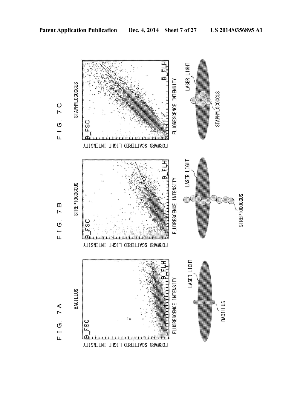 BACTERIA ANALYZING METHOD AND SPECIMEN ANALYZER - diagram, schematic, and image 08