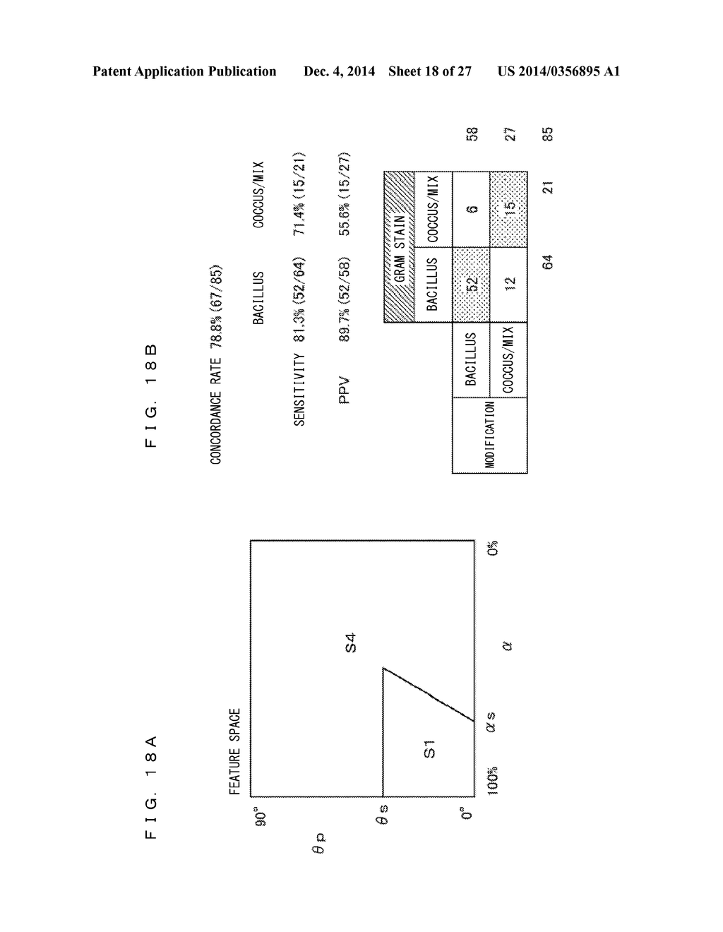 BACTERIA ANALYZING METHOD AND SPECIMEN ANALYZER - diagram, schematic, and image 19