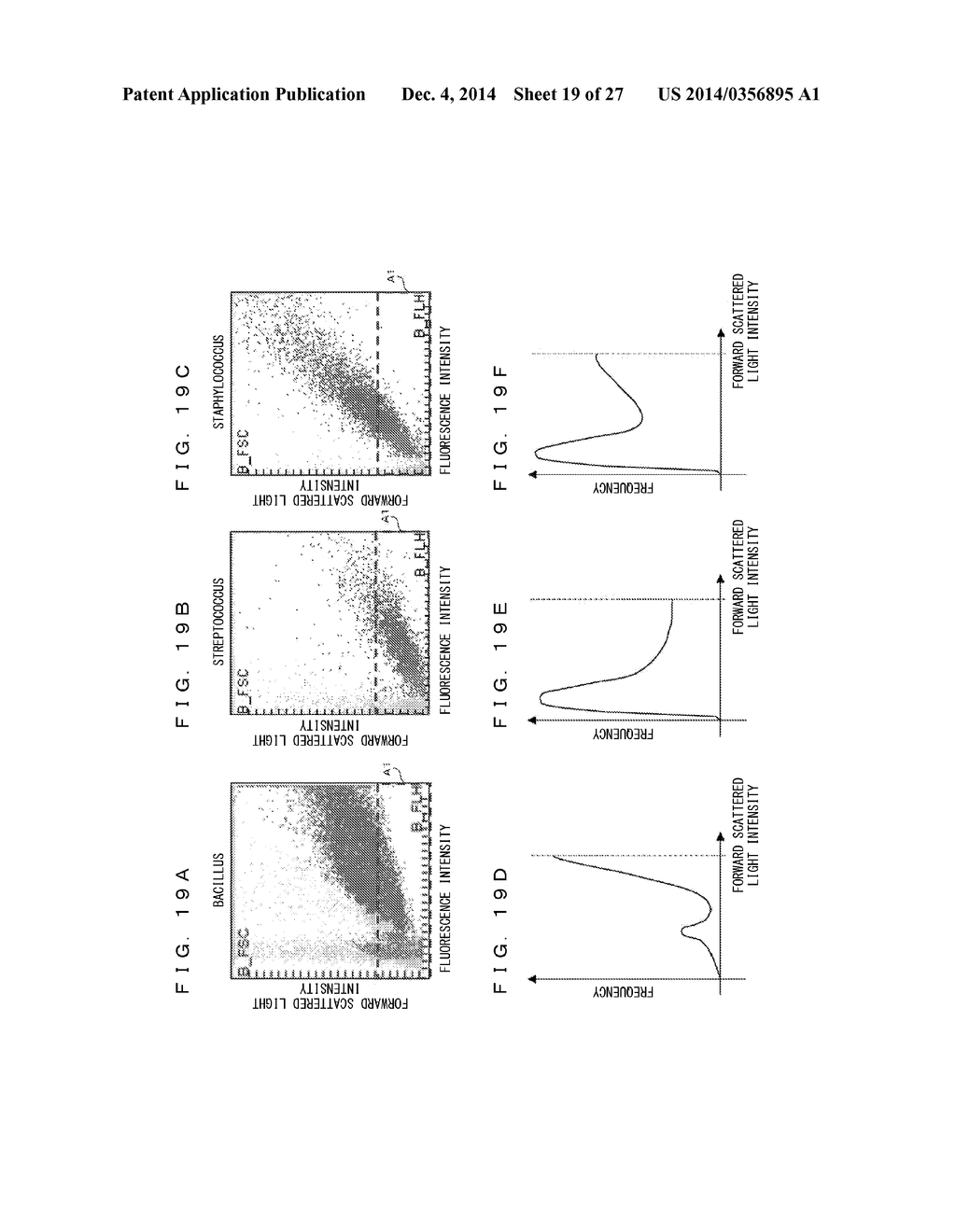 BACTERIA ANALYZING METHOD AND SPECIMEN ANALYZER - diagram, schematic, and image 20