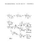 Novel sesquiterpene synthase gene and protein diagram and image