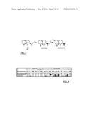 Novel sesquiterpene synthase gene and protein diagram and image