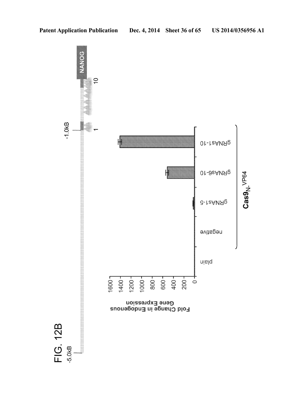 RNA-Guided Transcriptional Regulation - diagram, schematic, and image 37