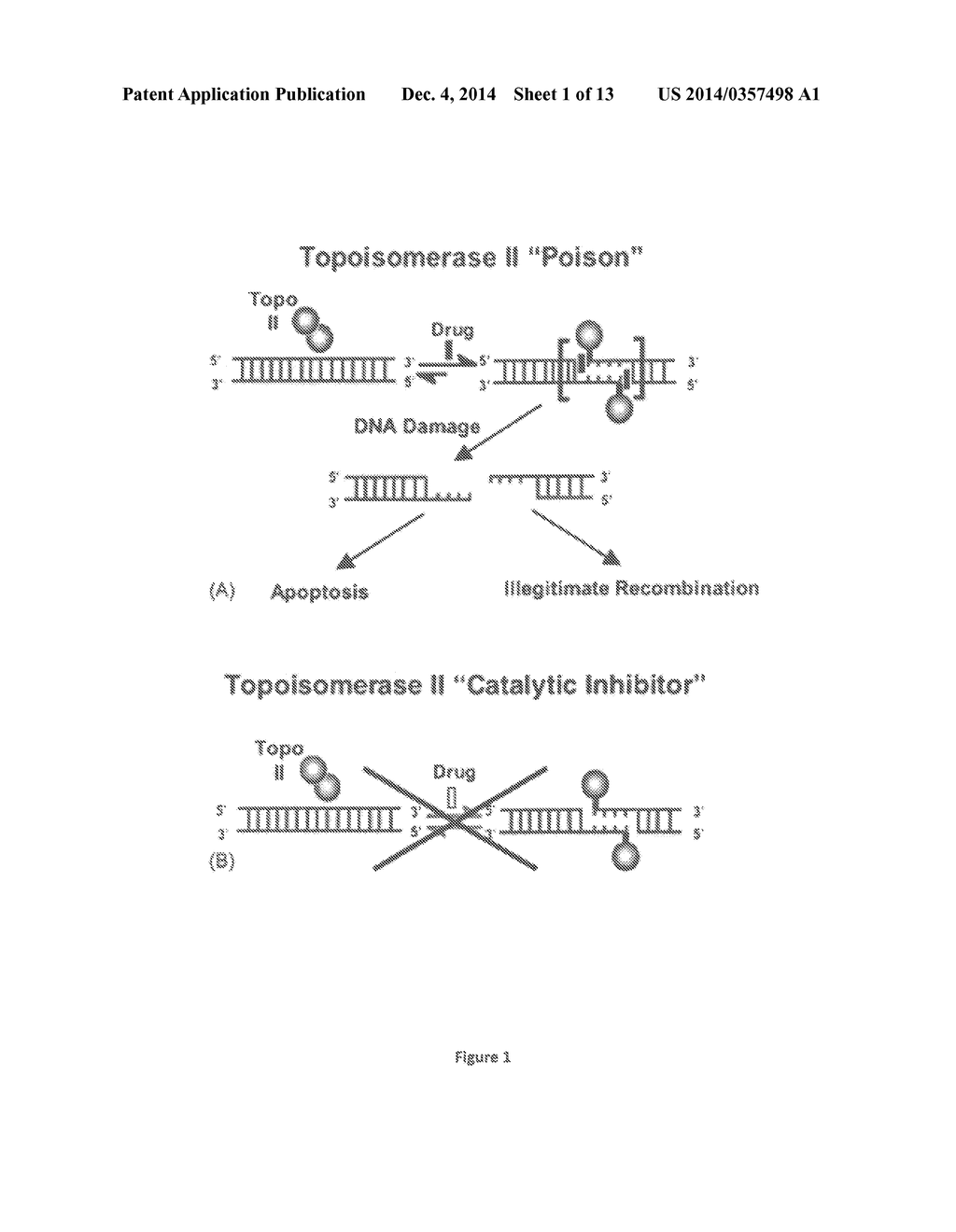 Compositions and Methods for the Detection of DNA Cleavage Complexes - diagram, schematic, and image 02
