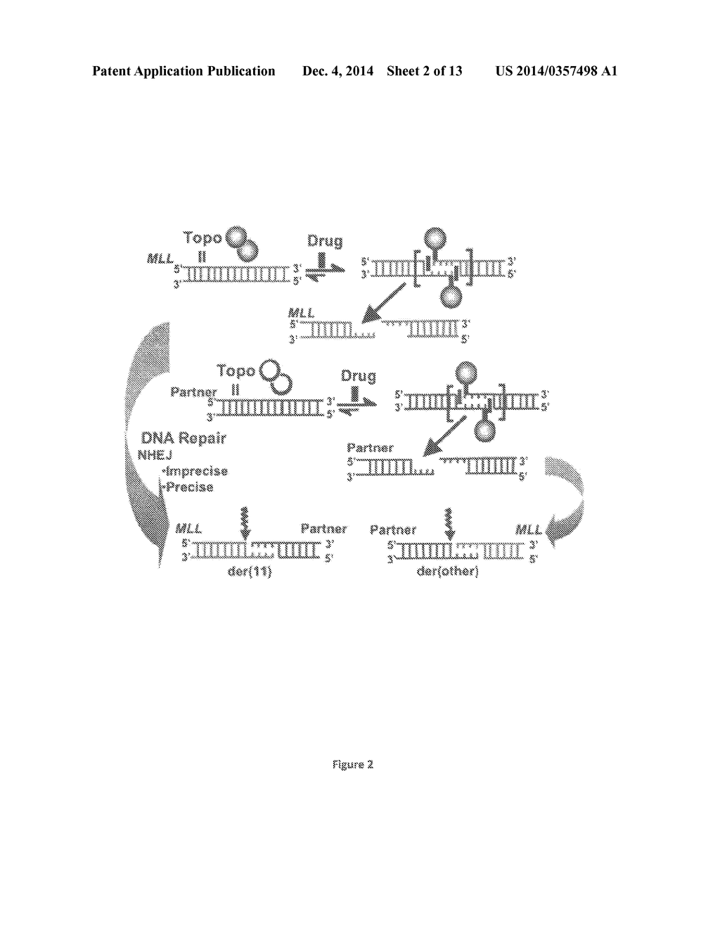 Compositions and Methods for the Detection of DNA Cleavage Complexes - diagram, schematic, and image 03