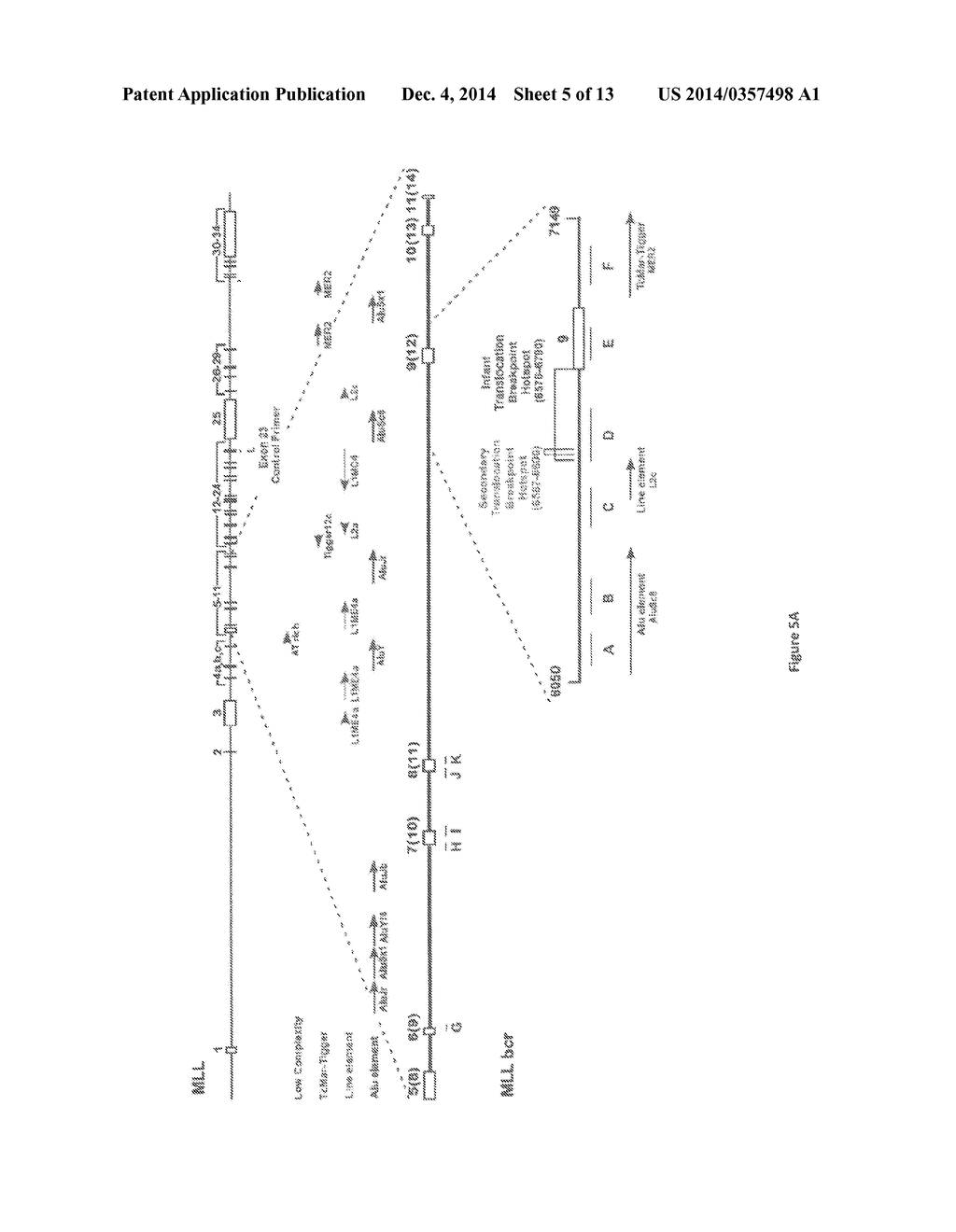 Compositions and Methods for the Detection of DNA Cleavage Complexes - diagram, schematic, and image 06