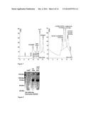 GENERAL STRATEGY FOR ANTIBODY LIBRARY SCREENING diagram and image