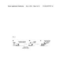 METHOD AND APPARATUS FOR MEASURING PHOSPHORYLATION KINETICS ON LARGE     ARRAYS diagram and image