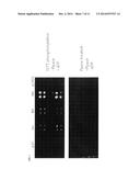 METHOD AND APPARATUS FOR MEASURING PHOSPHORYLATION KINETICS ON LARGE     ARRAYS diagram and image