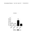 NOVEL INHIBITORS OF NOX1 diagram and image