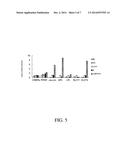 NOVEL MONASCUSPURPURONES, PREPARATION PROCESS THEREOF, AND USES OF THE     MONASCUSPURPURONES diagram and image