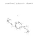 CYCLODEXTRIN-BASED POLYMERS FOR THERAPEUTIC DELIVERY diagram and image