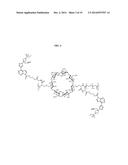 CYCLODEXTRIN-BASED POLYMERS FOR THERAPEUTIC DELIVERY diagram and image