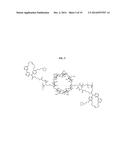 CYCLODEXTRIN-BASED POLYMERS FOR THERAPEUTIC DELIVERY diagram and image