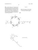 CYCLODEXTRIN-BASED POLYMERS FOR THERAPEUTIC DELIVERY diagram and image