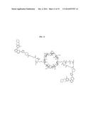 CYCLODEXTRIN-BASED POLYMERS FOR THERAPEUTIC DELIVERY diagram and image