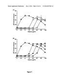 Compositions and Methods for the Generation of Activated Protein C and     Methods of Use Thereof diagram and image