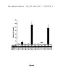 Compositions and Methods for the Generation of Activated Protein C and     Methods of Use Thereof diagram and image