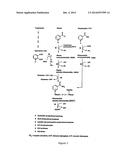 NOVEL UREA  AND THIOUREA DERIVATIVES diagram and image