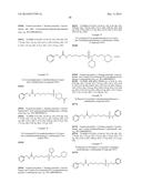 NOVEL UREA  AND THIOUREA DERIVATIVES diagram and image