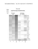 GENE EXPRESSION SIGNATURES OF NEOPLASM RESPONSIVENESS TO THERAPY diagram and image