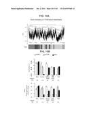 GENE EXPRESSION SIGNATURES OF NEOPLASM RESPONSIVENESS TO THERAPY diagram and image