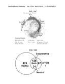 GENE EXPRESSION SIGNATURES OF NEOPLASM RESPONSIVENESS TO THERAPY diagram and image