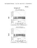 GENE EXPRESSION SIGNATURES OF NEOPLASM RESPONSIVENESS TO THERAPY diagram and image