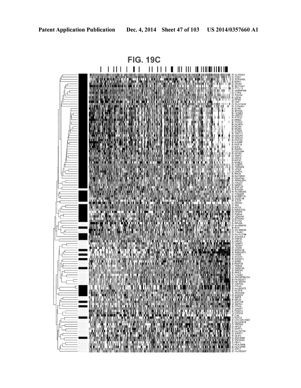 GENE EXPRESSION SIGNATURES OF NEOPLASM RESPONSIVENESS TO THERAPY - diagram, schematic, and image 48