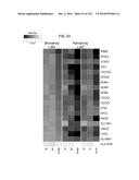 GENE EXPRESSION SIGNATURES OF NEOPLASM RESPONSIVENESS TO THERAPY diagram and image