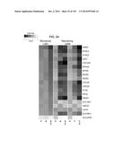 GENE EXPRESSION SIGNATURES OF NEOPLASM RESPONSIVENESS TO THERAPY diagram and image