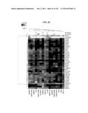 GENE EXPRESSION SIGNATURES OF NEOPLASM RESPONSIVENESS TO THERAPY diagram and image