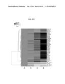 GENE EXPRESSION SIGNATURES OF NEOPLASM RESPONSIVENESS TO THERAPY diagram and image