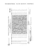 GENE EXPRESSION SIGNATURES OF NEOPLASM RESPONSIVENESS TO THERAPY diagram and image